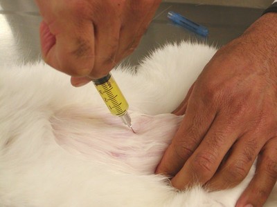 Removing urine with a syringe