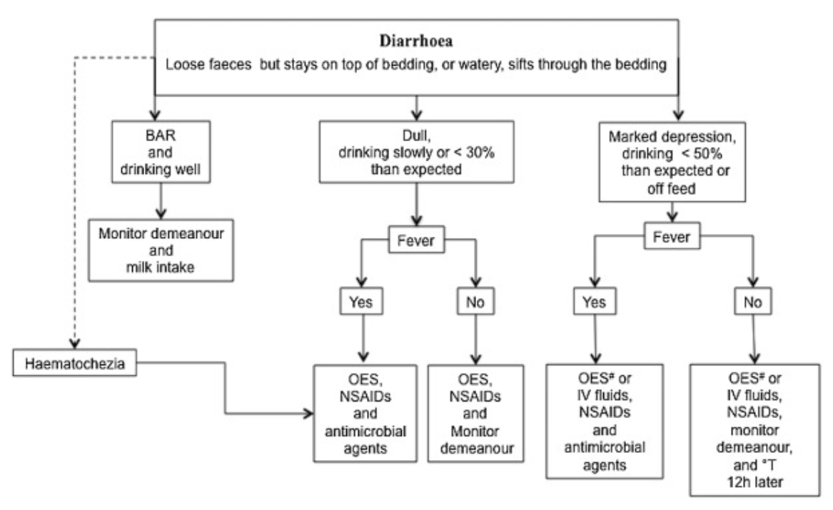 fluid administration study
