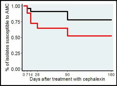 Susceptiblity to Amoxicillin-clavulanic Acid