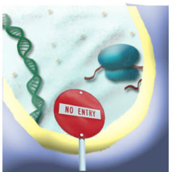 No entry sign to antimicrobials