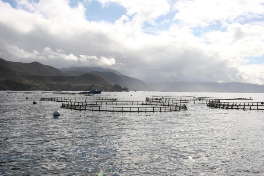 Net Pen Aquaculture in Deep Coastal Waters