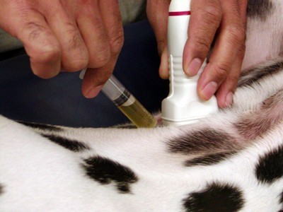 Ultrasound in use against