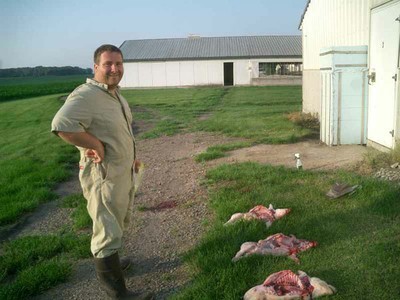 Vet standing in front of three dissected pigs.